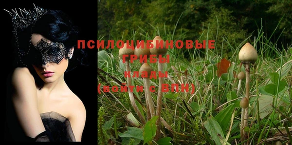прущий лед Армянск