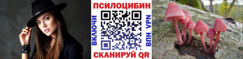 хочу наркоту Саянск Псилоцибиновые грибы Cubensis